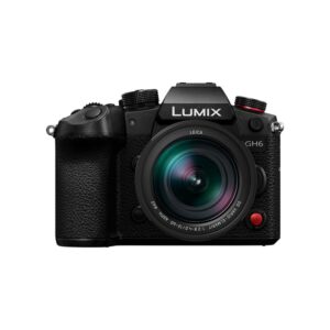 PANASONIC LUMIX GH6 + 12-60MM F2.8-4